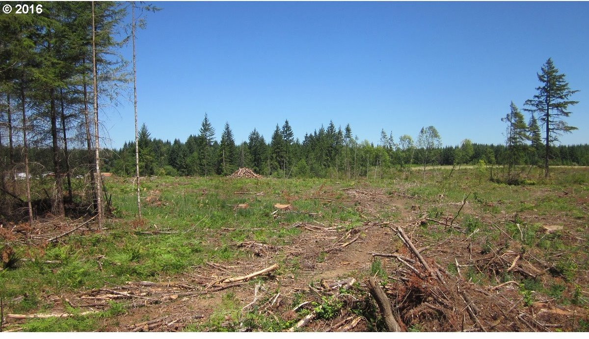 Allman Road Winlock, WA 98596 - Photo 18 of 27