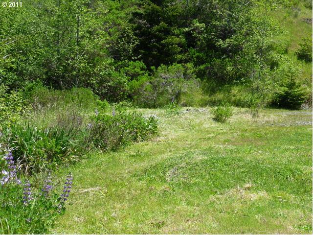 Thimbleberry Road Gold Beach, OR 97444 - Photo 4 of 16 Gallery Image 4
