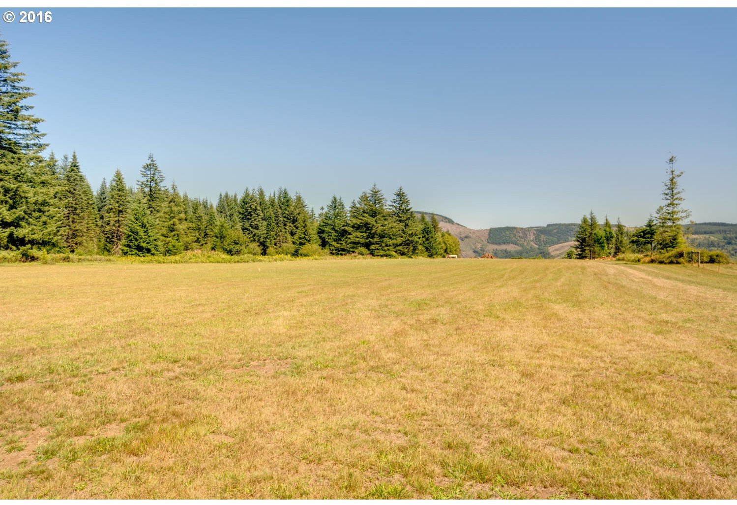 Skye Road, Unit 4 Washougal, WA 98671 - Photo 4 of 12 Gallery Image 4