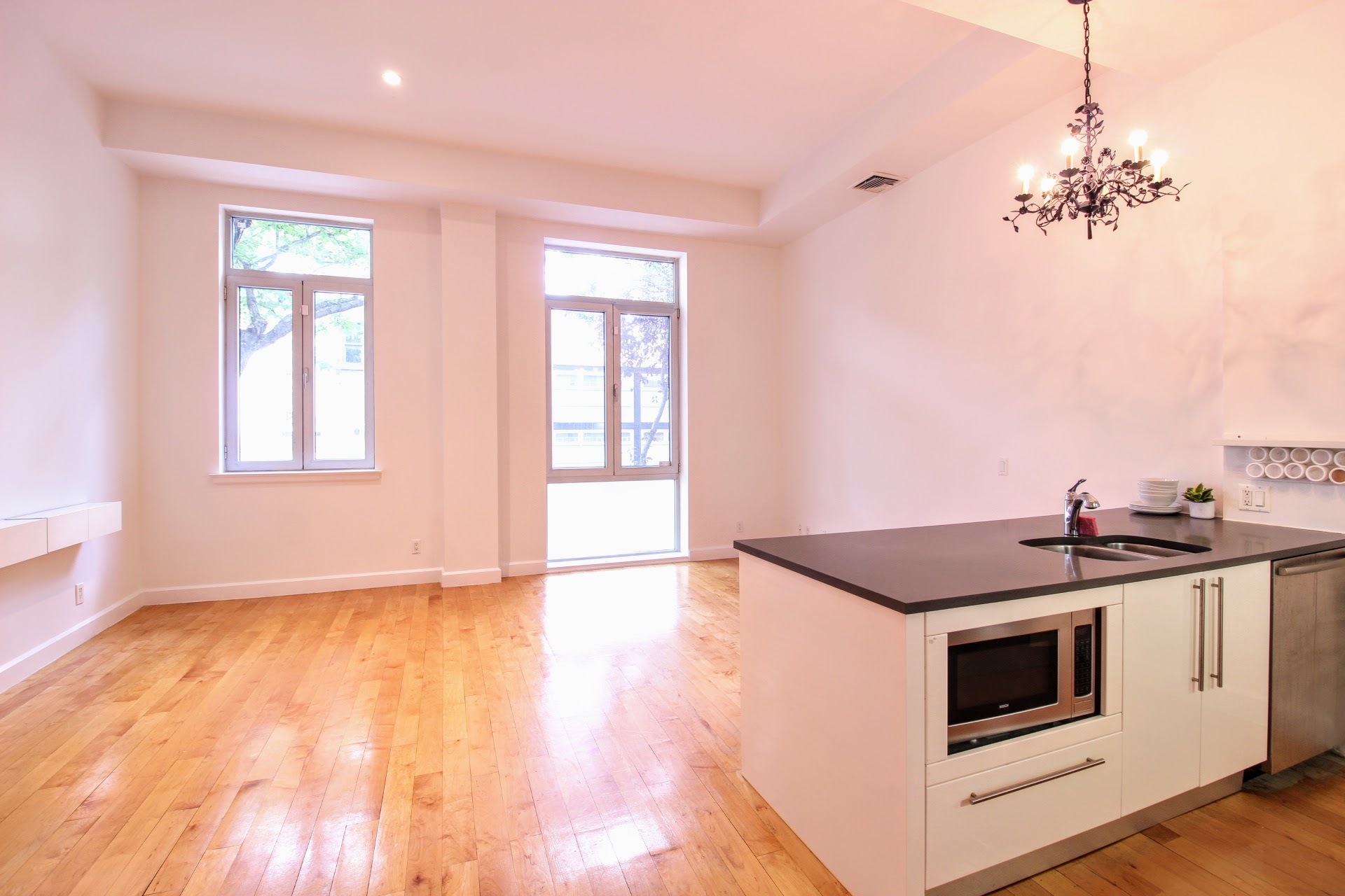 136 Powers Street, Unit 1F Brooklyn, NY 11211 - Photo 3 of 12