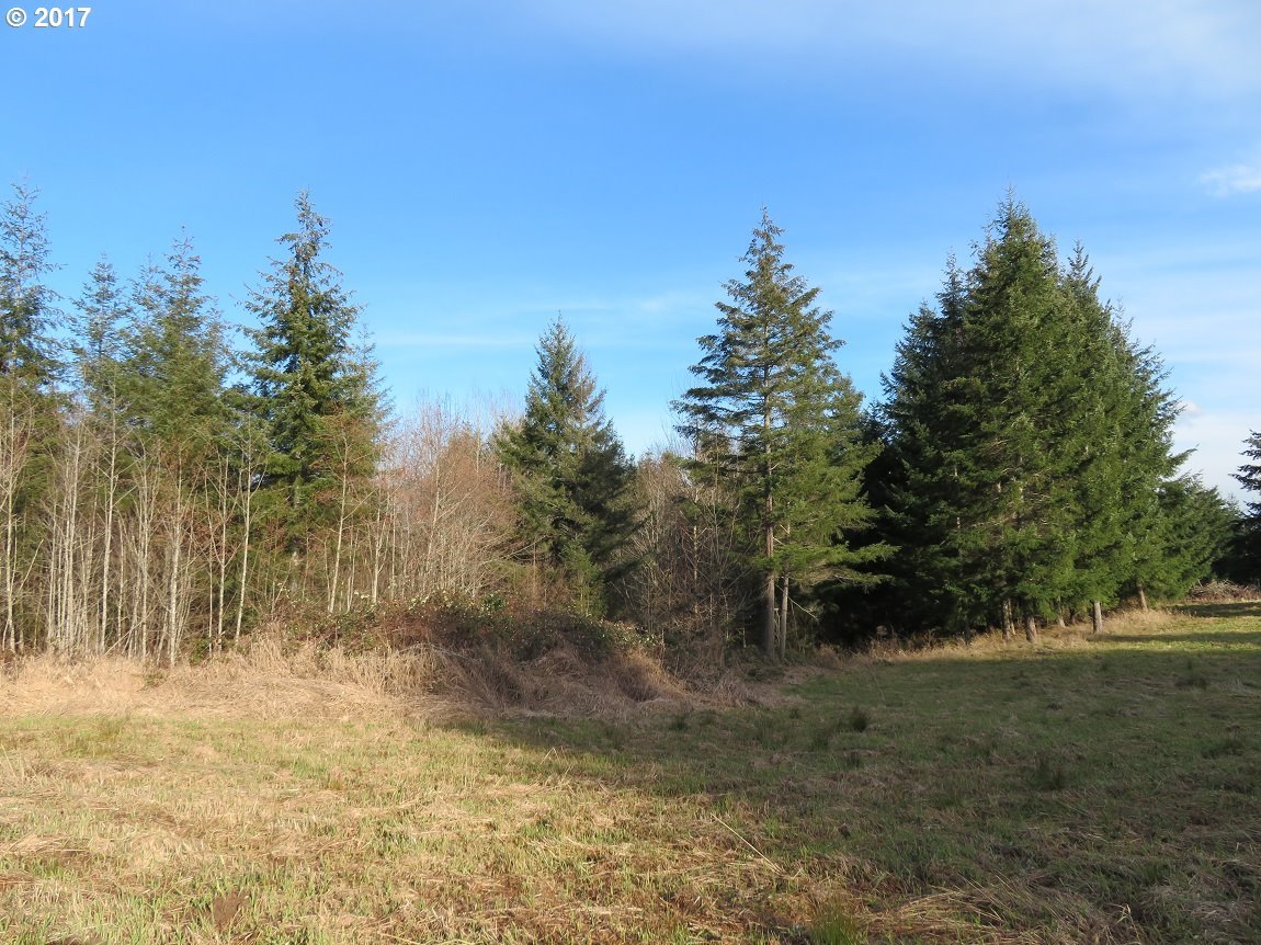 Cousins Road, Unit 2 Chehalis, WA 98532 - Photo 23 of 32