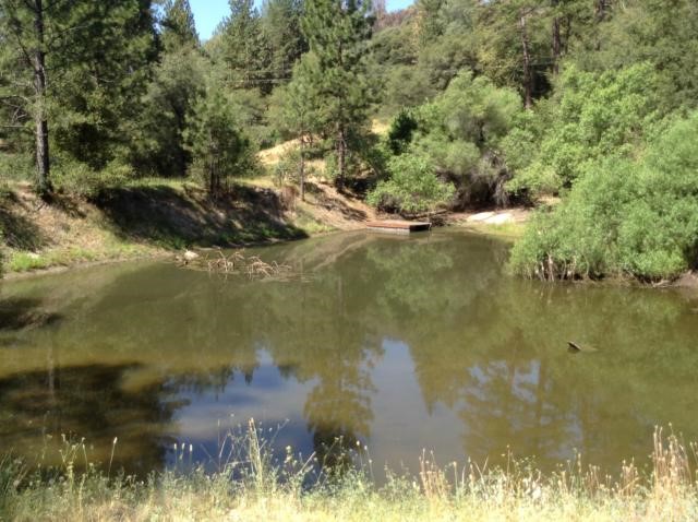 2572 East Westfall Road Mariposa, CA 95338 - Photo 1 of 1 Gallery Image 1