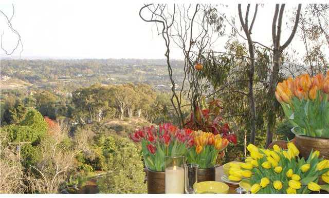 233 Ridge Terrace Encinitas, CA 92024 - Photo 23 of 24