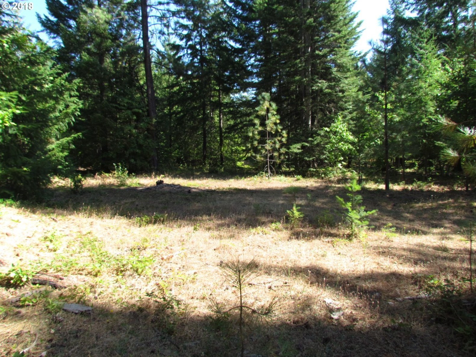 16 Debo Road White Salmon, WA 98672 - Photo 28 of 31 Gallery Image 28