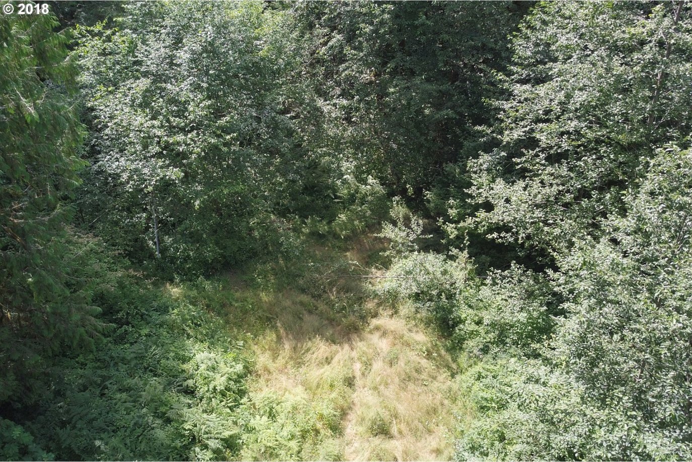 24891 East Arthur Hailey Road Rhododendron, OR 97049 - Photo 10 of 13 Gallery Image 10