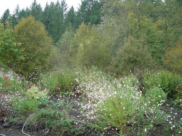 11580 Northwest Rock Creek Road Portland, OR 97231 - Photo 10 of 16 Gallery Image 10