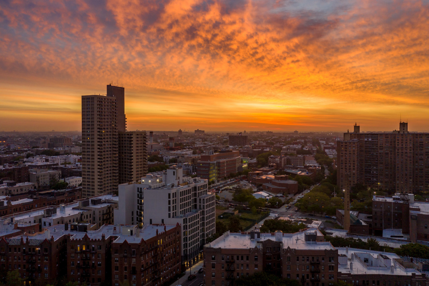 111 Montgomery Street, Unit 1A Brooklyn, NY 11225 - Photo 18 of 19