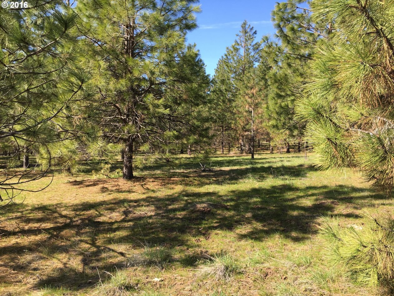 Whispering Pines Goldendale, WA 98620 - Photo 11 of 12