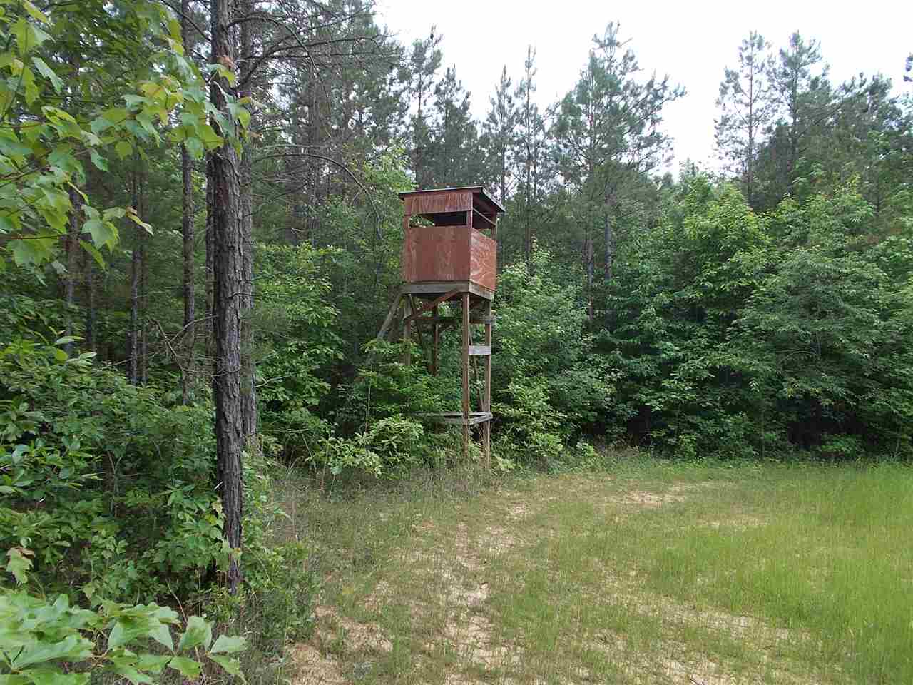 Ferguson Store Road Ramer, TN 38367 - Photo 1 of 17 Gallery Image 1