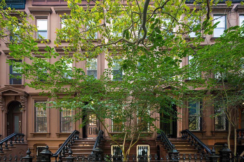 396 Vanderbilt Avenue Brooklyn, NY 11238 - Photo 6 of 7