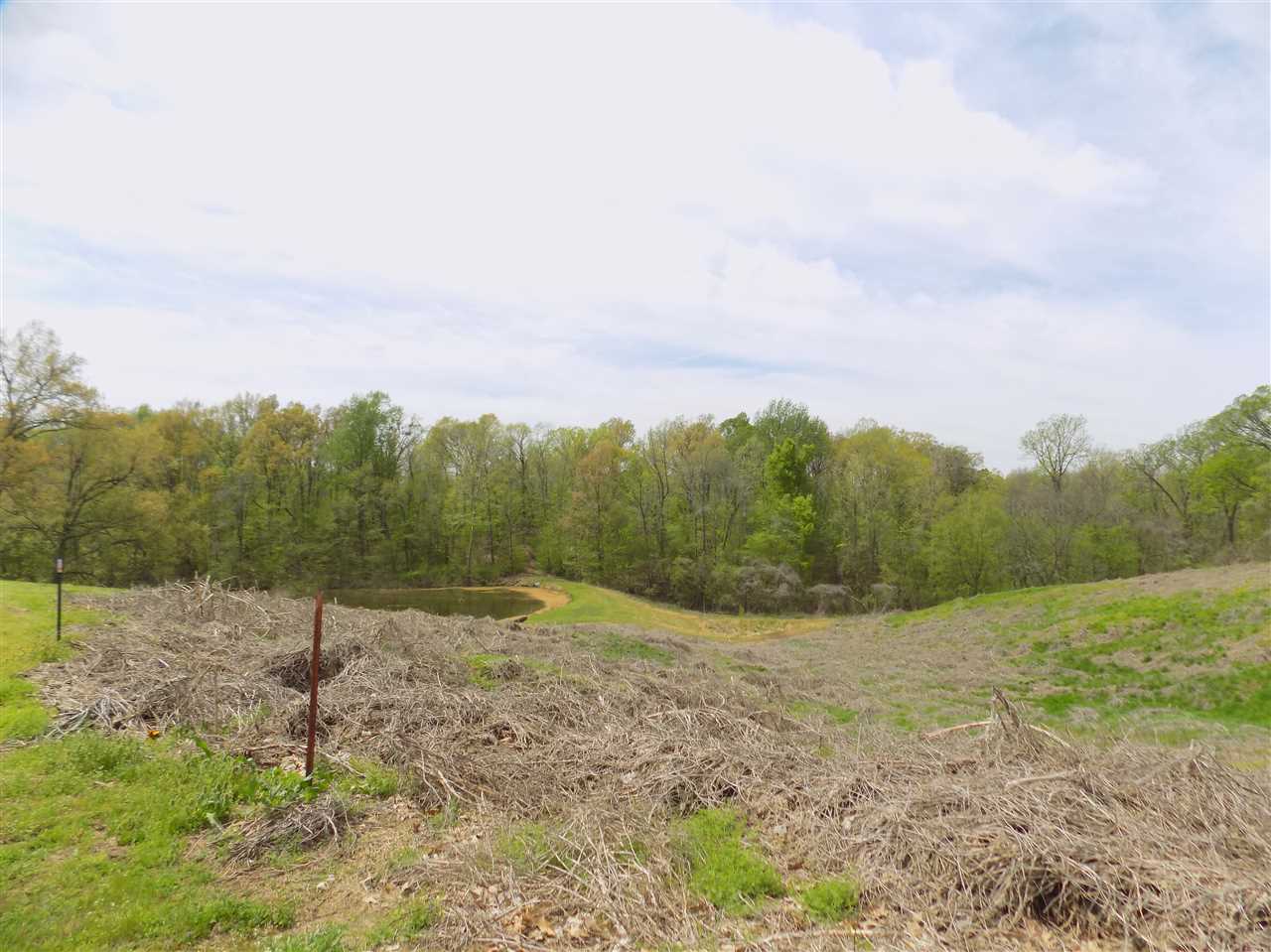 0 Richardson Landing Road Drummonds, TN 38023 - Photo 5 of 9