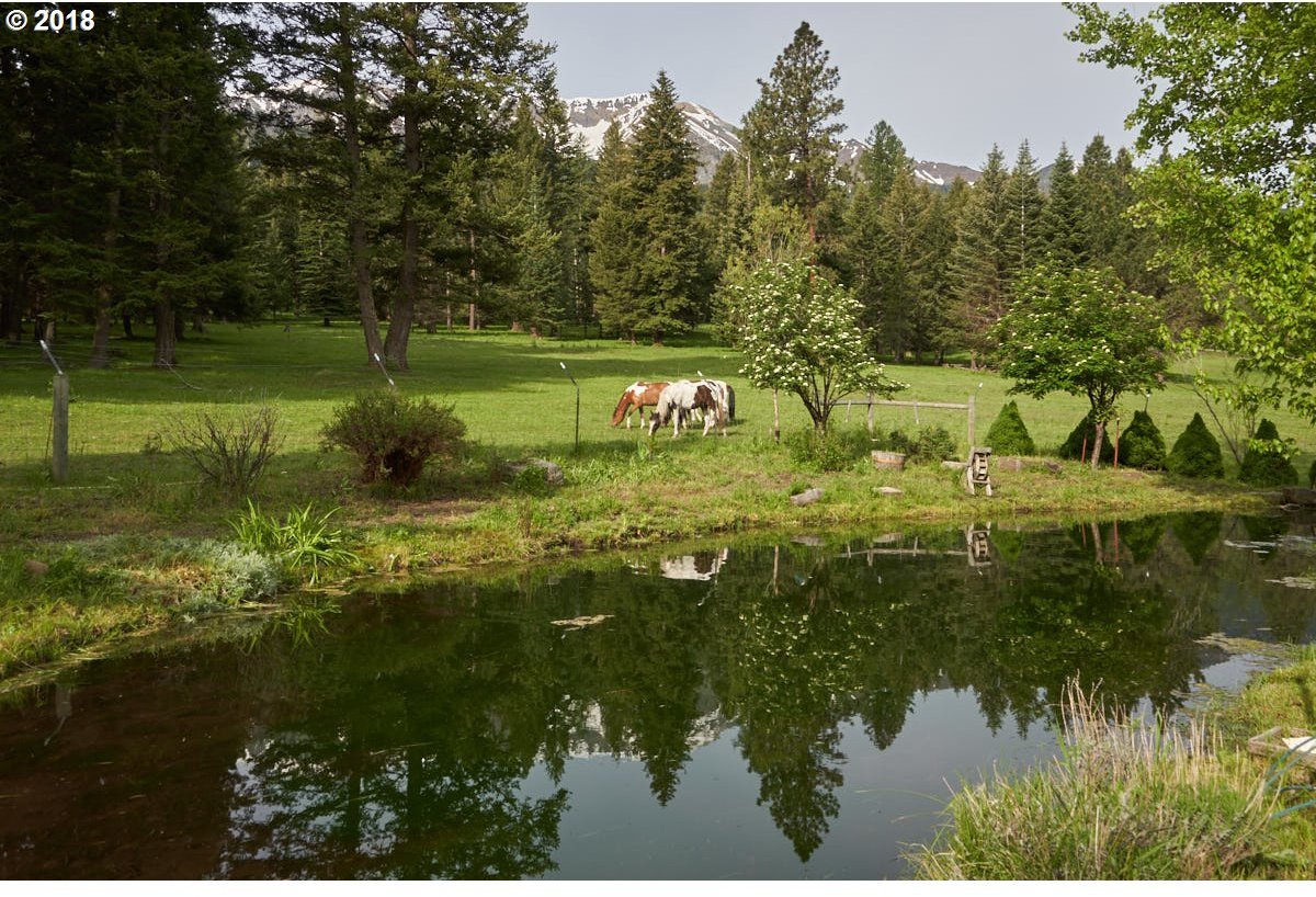 61442 Ski Run Road Joseph, OR 97846 - Photo 3 of 32 Gallery Image 3