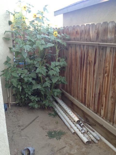 8107 Fighting Irish Drive Bakersfield, CA 93313 - Photo 9 of 10