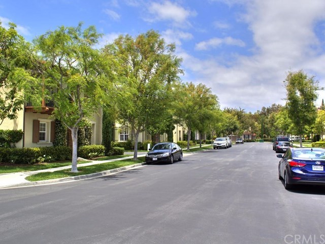 124 White Flower Irvine, CA 92603 - Photo 18 of 26 Look at the magnificent trees