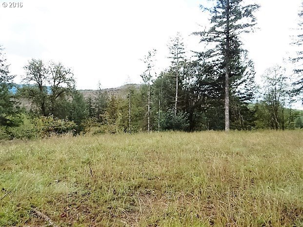 2 Kalama River Road Kalama, WA 98625 - Photo 1 of 10 Gallery Image 1