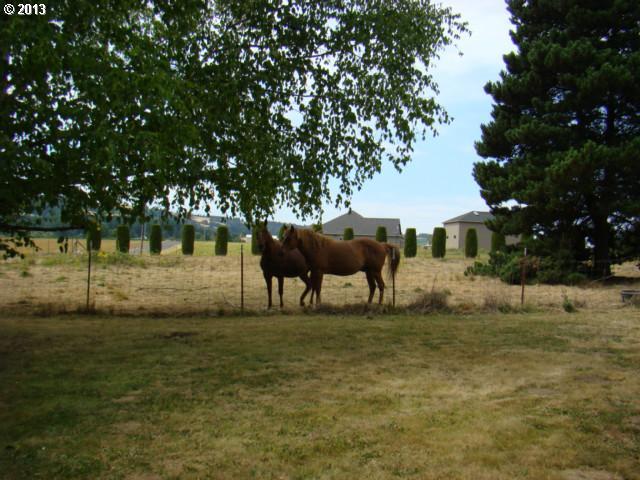 31101 Southwest Firdale Road Cornelius, OR 97113 - Photo 7 of 16