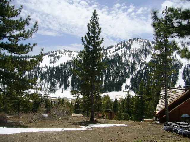 1735 Summer Place Olympic Valley, CA 96146 - Photo 3 of 6