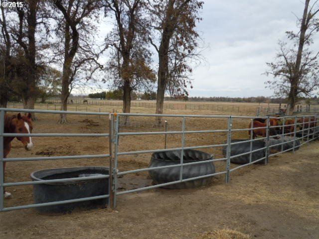 78351 Agnew Road Hermiston, OR 97838 - Photo 17 of 27 Gallery Image 17