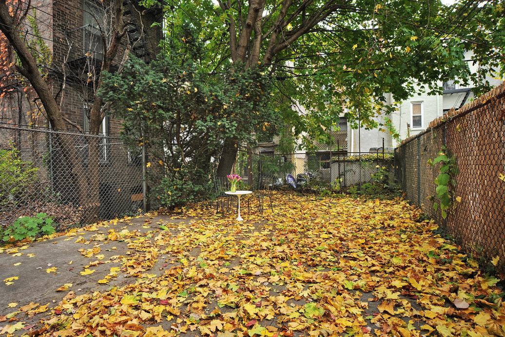 348 Putnam Avenue, Unit 1 Brooklyn, NY 11216 - Photo 8 of 9