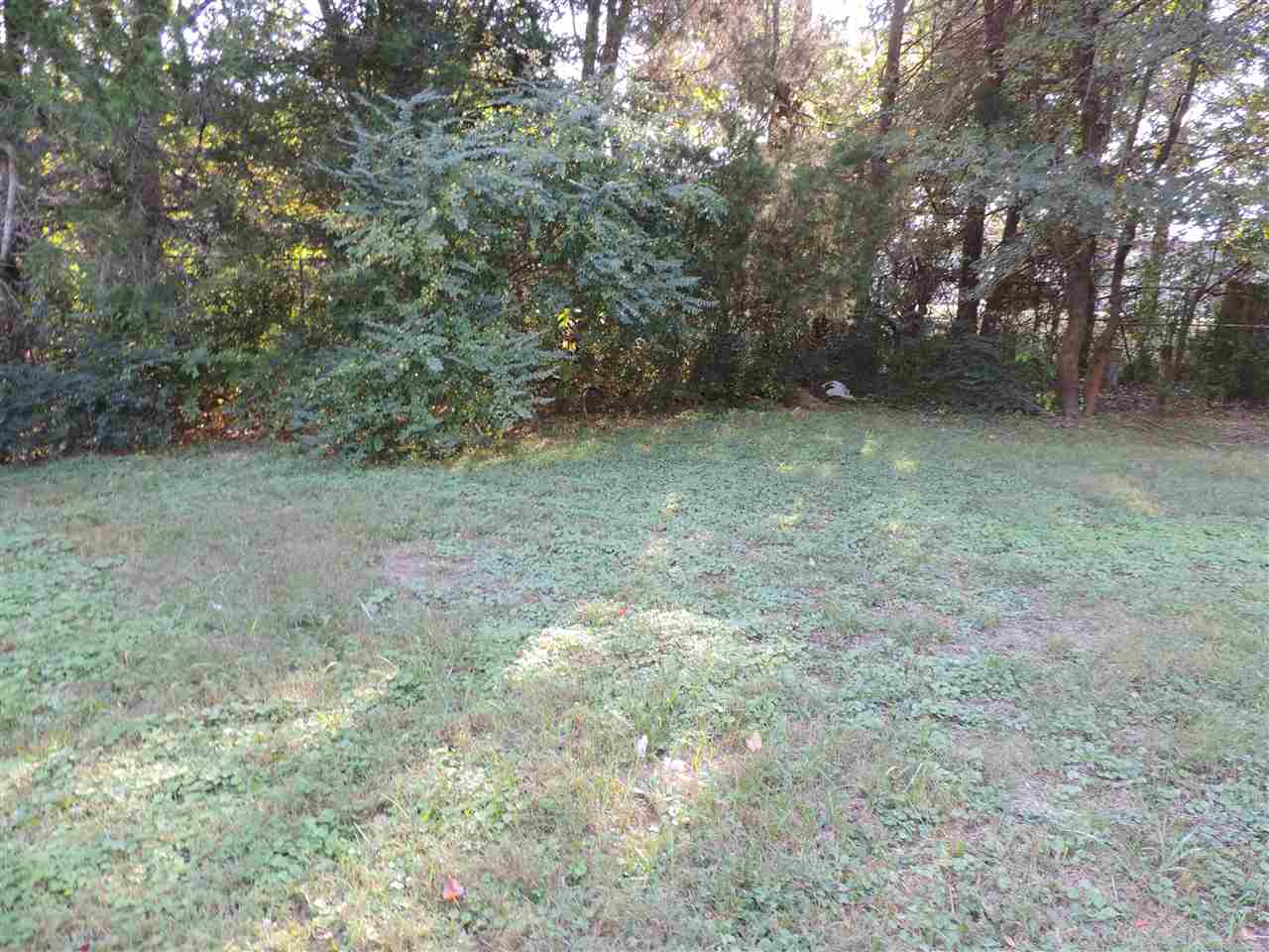 4712 Royal Ridge Drive Memphis, TN 38128 - Photo 19 of 20