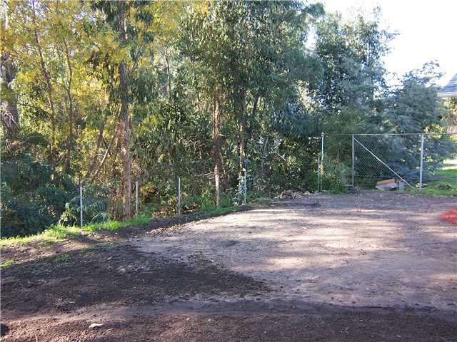 14038 Mussey Grade Road Ramona, CA 92065 - Photo 11 of 21 Backyard towards the Creek