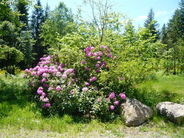 22 Sievers Road Washougal, WA 98671 - Photo 15 of 16 Gallery Image 15