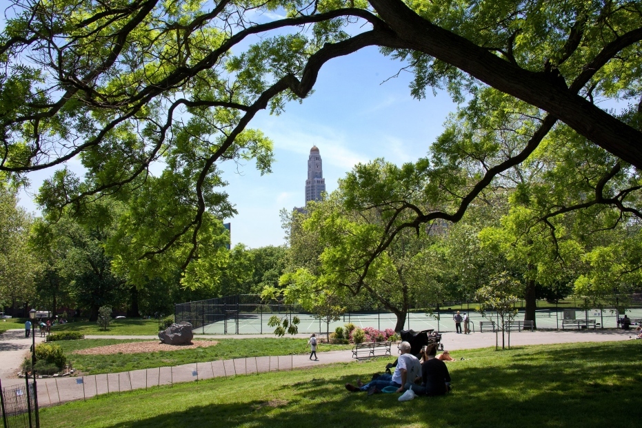 One Hanson Place Condominium 1 Hanson Pl, Brooklyn, NY 11243 - Photo 34 of 34