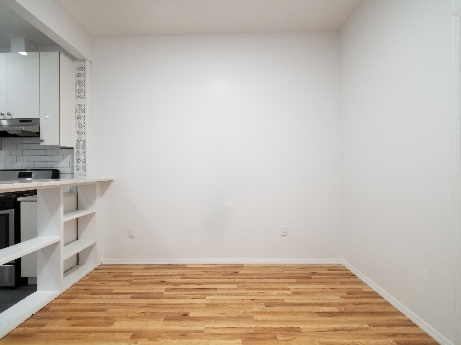 984 Metropolitan Avenue, Unit 1 Brooklyn, NY 11211 - Photo 3 of 20