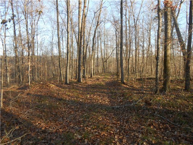501 Long Branch Road Lawrenceburg, TN 38464 - Photo 20 of 22