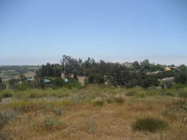 3645 Copper Crest Road Encinitas, CA 92024 - Photo 3 of 6