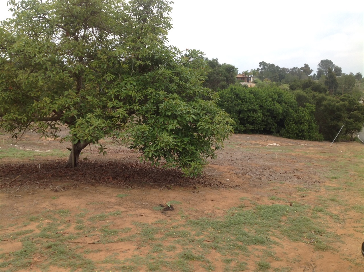 99999 Morro Hills Road Fallbrook, CA 92028 - Photo 16 of 20