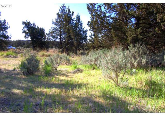 6705 Southeast Riverdance Road Prineville, OR 97754 - Photo 8 of 10 Gallery Image 8