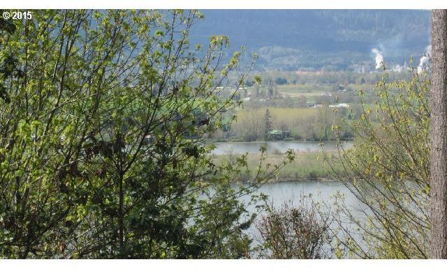 Maple Ridge Road, Unit 18 Cathlamet, WA 98612 - Photo 8 of 16 Gallery Image 8
