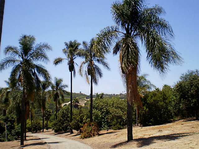 1130 Ranger Road Fallbrook, CA 92028 - Photo 22 of 22
