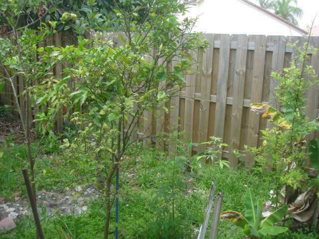 18232 Southwest 5th Street Pembroke Pines, FL 33029 - Photo 10 of 22