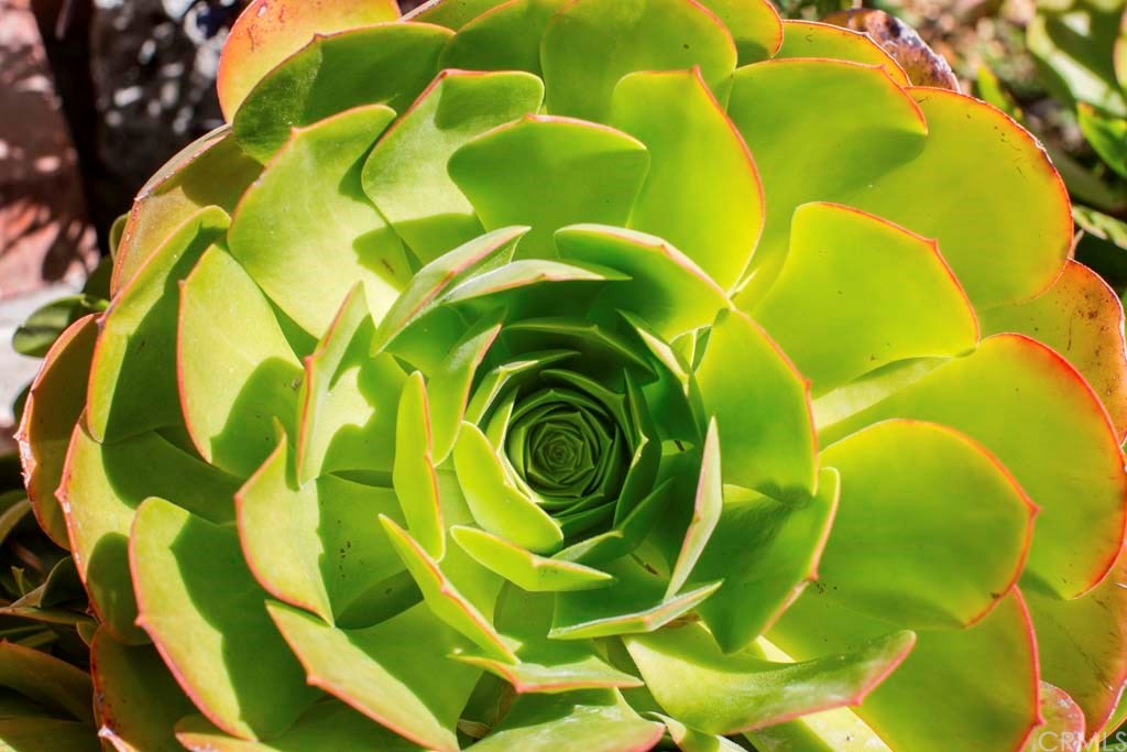 200 East Oceanfront Newport Beach, CA 92661 - Photo 17 of 21