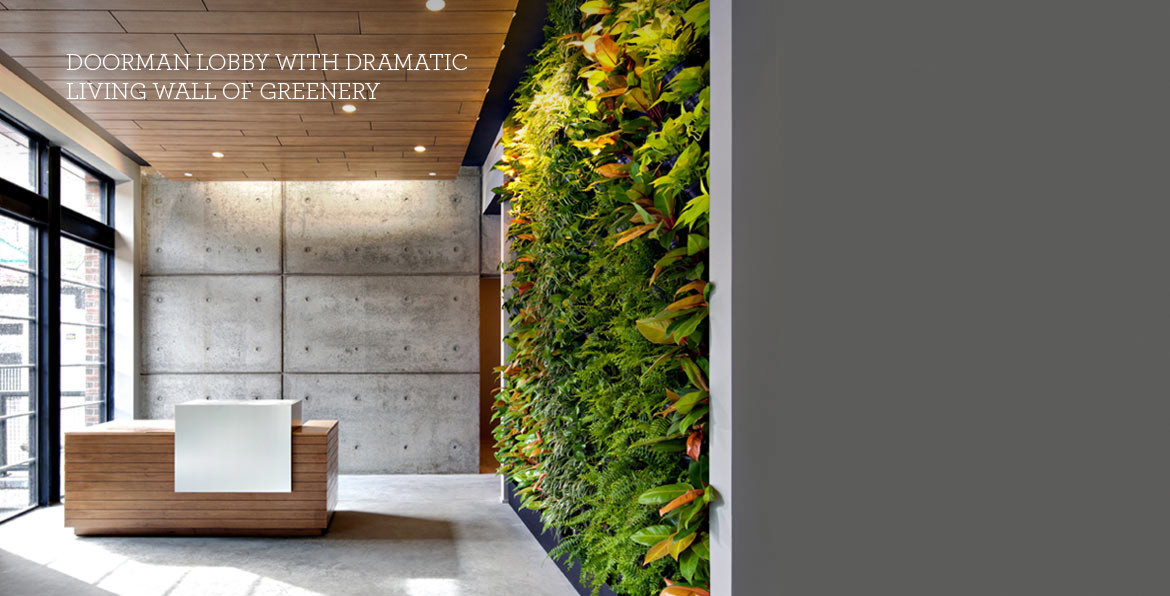 15 Dunham Place, Unit 8M Brooklyn, NY 11249 - Photo 3 of 8