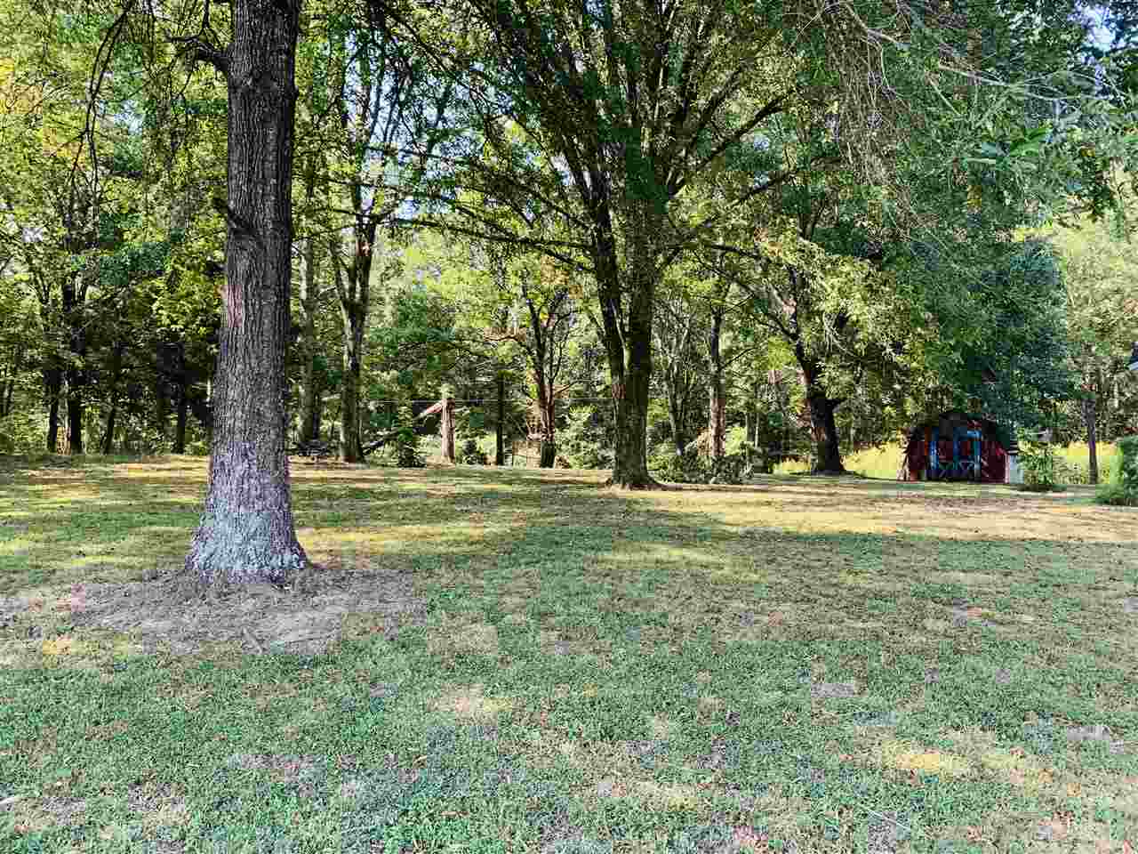 2155 Pitts Road Sardis, TN 38371 - Photo 6 of 25