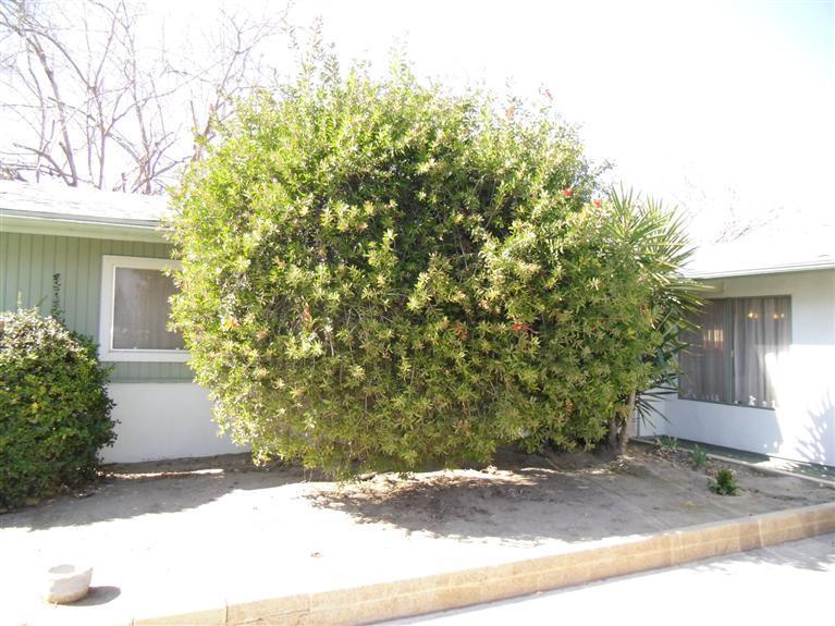 5719 Akers Road Bakersfield, CA 93313 - Photo 2 of 14 Gallery Image 2
