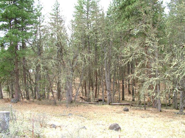 Pine Forest Road, Unit LOT2D Goldendale, WA 98620 - Photo 7 of 15 Gallery Image 7
