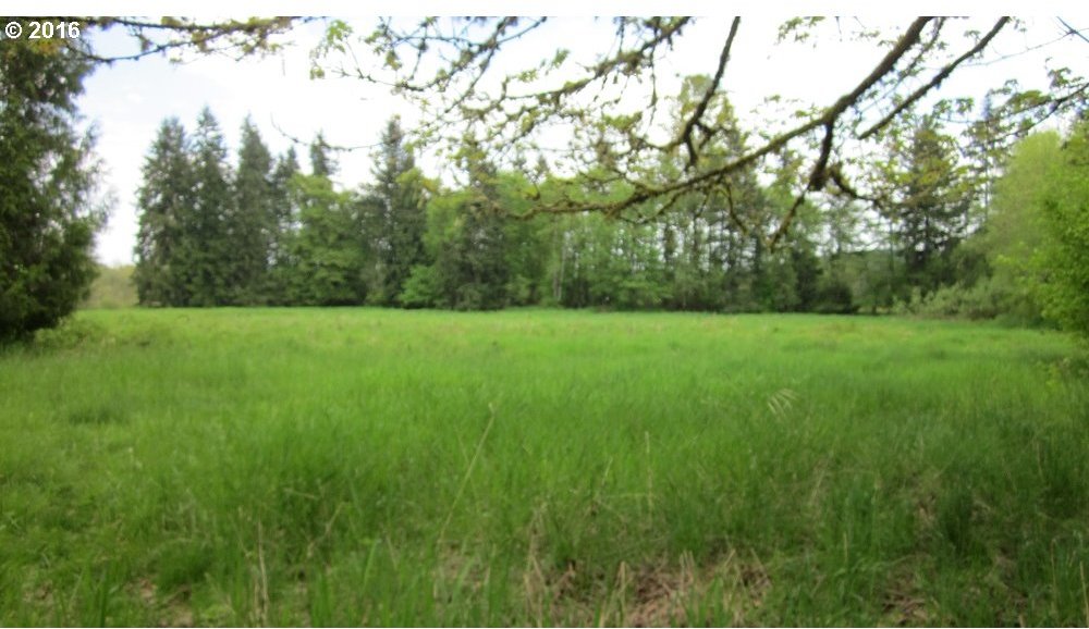 Walker Road Toledo, WA 98591 - Photo 20 of 27