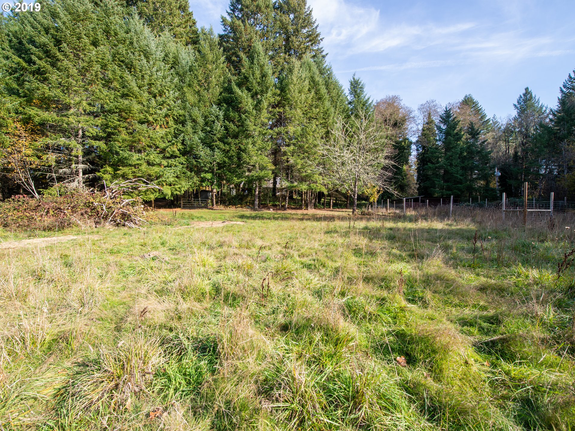 88715 Knight Road Veneta, OR 97487 - Photo 26 of 32 Gallery Image 26