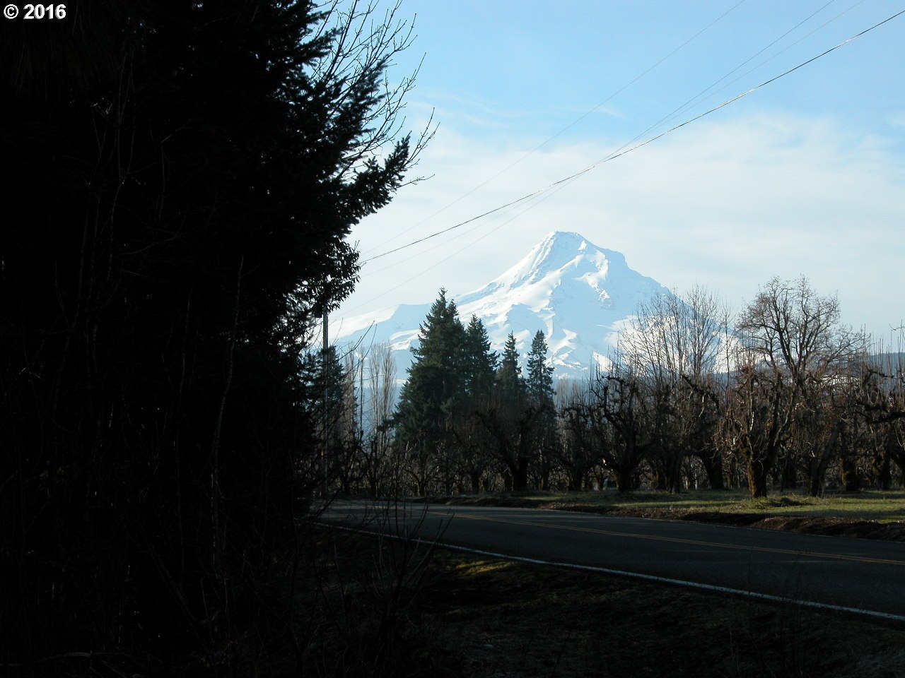 5925 Trout Creek Ridge Road Mount Hood Parkdale, OR 97041 - Photo 19 of 19