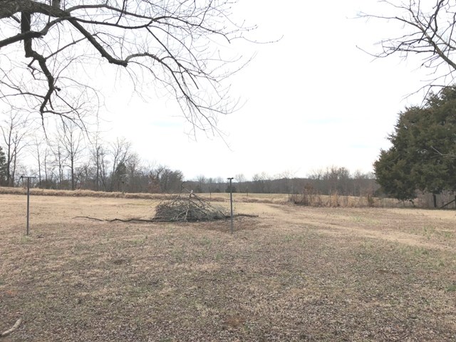 6539 Chestnut Bluff Road Friendship, TN 38034 - Photo 11 of 22 Gallery Image 11