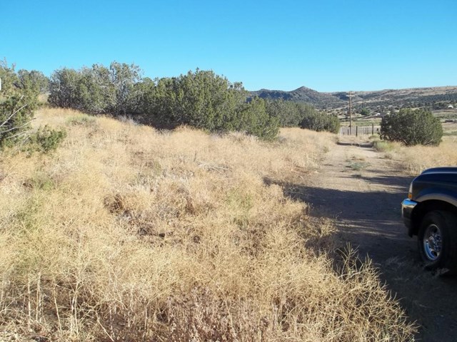 Tanganda Tehachapi, CA 93561 - Photo 1 of 2 Tanganda 002