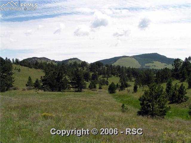 404 Millie Road Guffey, CO 80820 - Photo 4 of 7