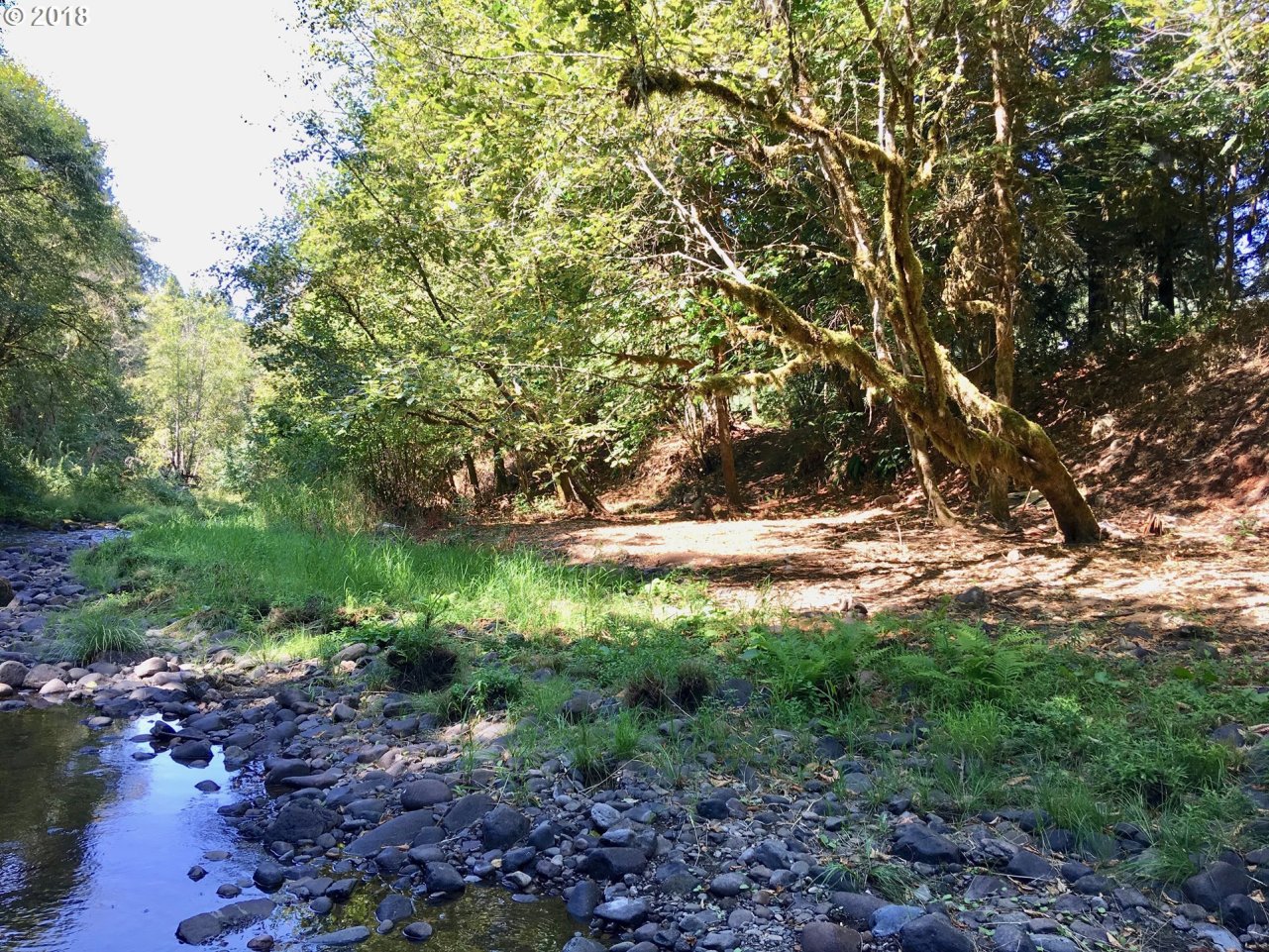 40600 Little Fall Creek Road Fall Creek, OR 97438 - Photo 25 of 31