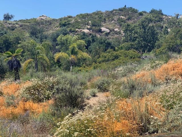 Camino Rainbow Fallbrook Ca Fallbrook, CA 92028 - Photo 9 of 25