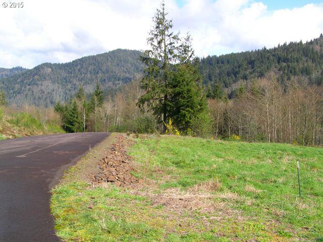 Skyview Road, Unit 40 Tillamook, OR 97141 - Photo 1 of 16 Gallery Image 1