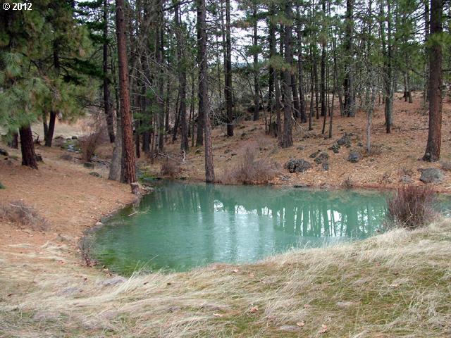 Austin Road Goldendale, WA 98620 - Photo 1 of 15 Gallery Image 1